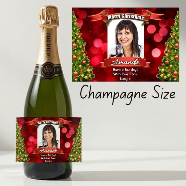 Personalised Christmas Wine / Champagne Bottle PHOTO Label N118