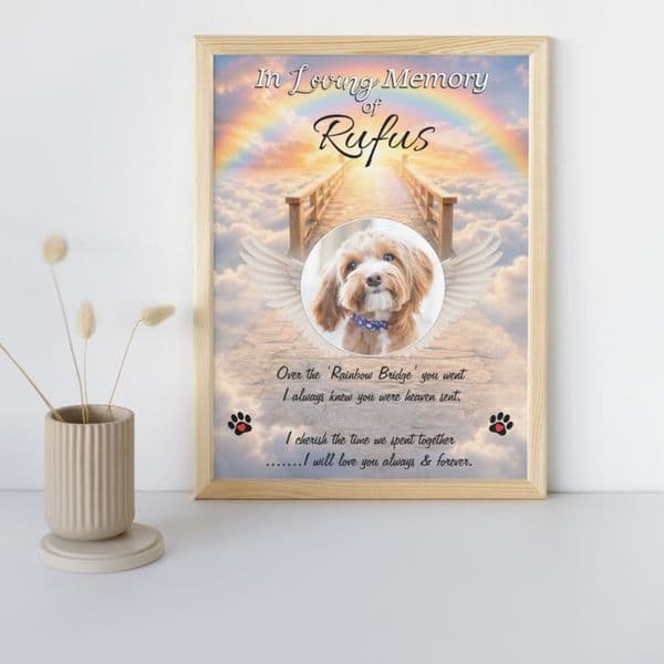 Personalised Pet Cat Dog Memorial In Loving Memory Photo Print. (Unframed)