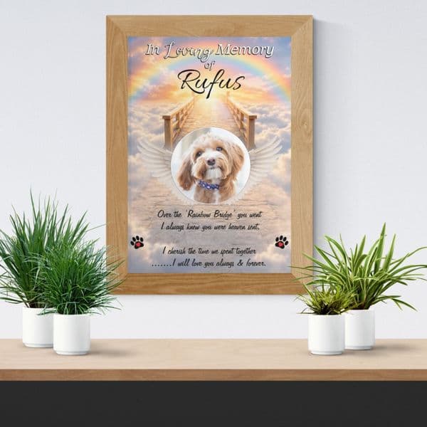 Personalised Pet Cat Dog Memorial In Loving Memory Photo Print. (Unframed)