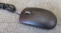 Dell MS116T JD7XG DV0RH Optical USB Wired 3-Button Scroll Wheel Mouse