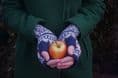 Papil Mitts - Donna Smith Designs