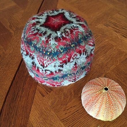 Sea Urchin Hat - Tracy Doxey