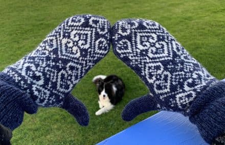 Smooriken Mittens - Mandy Moore - Olach Designs