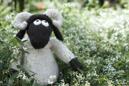 Wee Blackface Sheep (ver2) - Janice Anderson (knitted fun version of the Blackface Sheep breed)