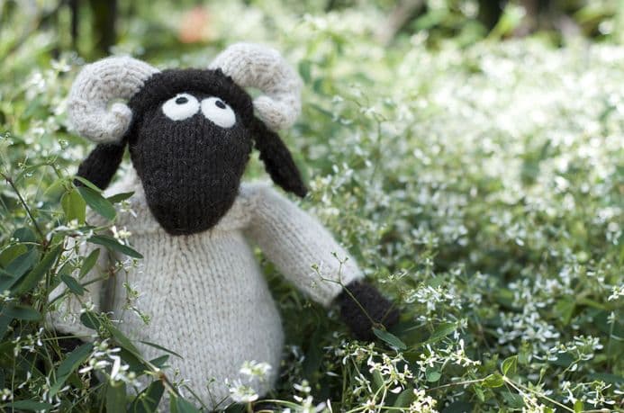 Wee Blackface Sheep (ver2) - Janice Anderson (knitted fun version of the Blackface Sheep breed)