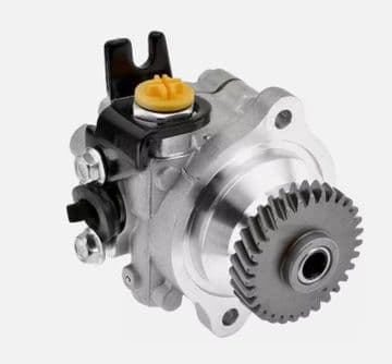 Nissan Terrano || 3.0Di (TD) R20C - ZD30DDTi (02/2002-2007) - Power Steering Pump