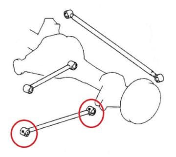Toyota Land Cruiser Amazon 4.2TD - HDJ100 (01/1998-08/2007) - Rear Lower Trailing Arm Bush