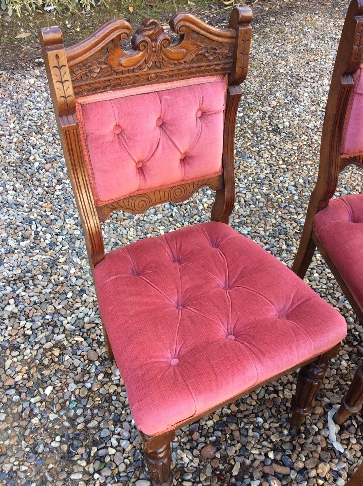 Six Matching Victorian Edwardian Upholstered Dining Chairs Pink Velour