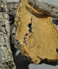 Virgin Cork Bark - Flat (2 kg)