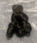 Brazilian bouncy curl  premium