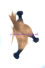 Straight Human Hair  2 tone Color Straight Hair
