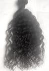 Natural Wave Bundle