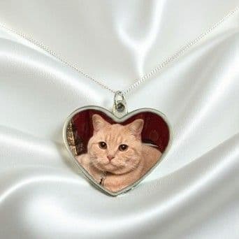 Cat Jewellery