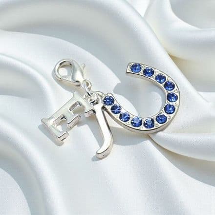 Something Blue Charms