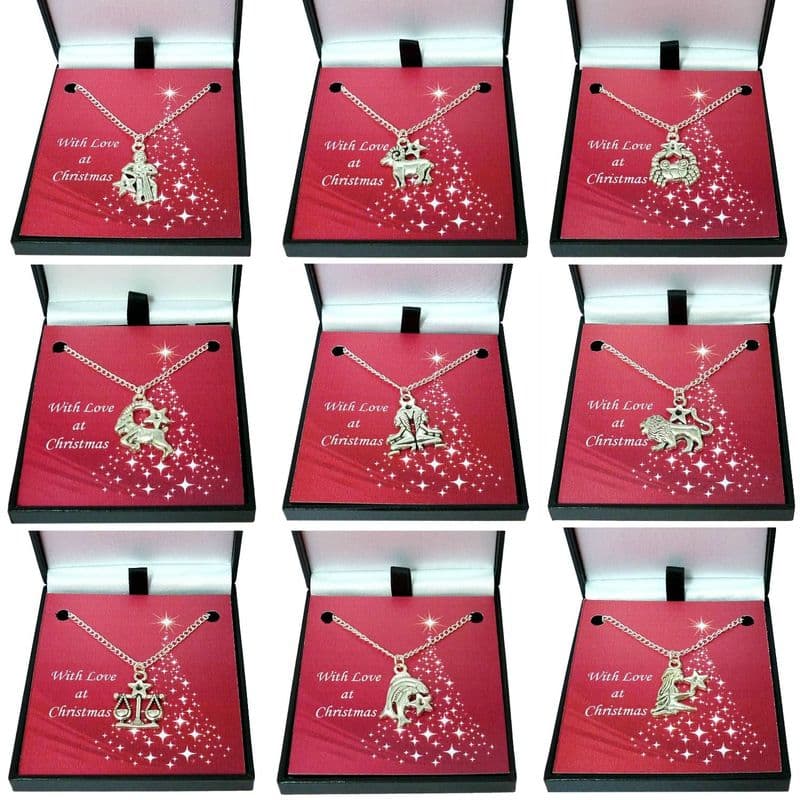Star Sign Necklace in Christmas Gift Box | Jewels 4 Girls