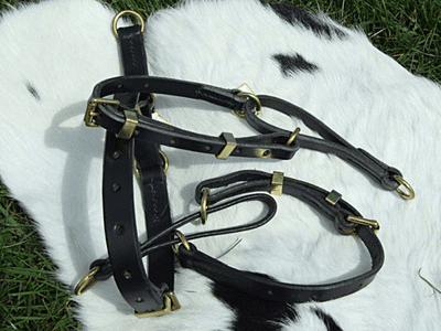 Adjustable Flat All-Leather Half-Check Restrainer