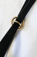 All in one whippet / greyhound martingale leads