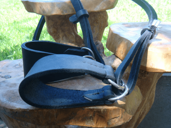 All in one whippet / greyhound martingale leads