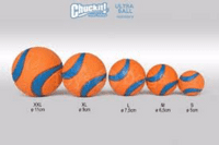CHUCKIT ULTRA  BALLS