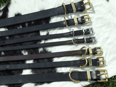 English Bridle Leather Dog Collars