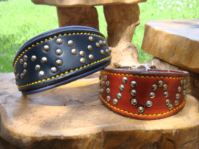 English bridle leather  studded Whippet / Greyhound Collar