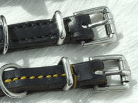 English bridle leather Whippet / Greyhound half check collars