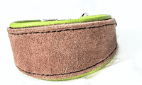 English brush leather lined whippet / Greyhound  martingale collar