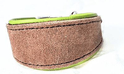 English brush leather lined whippet / Greyhound  martingale collar