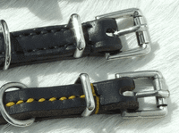 English Leather  Twist Dog Collar (Claytons)