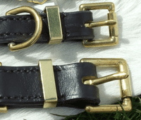 English Leather  Twist Dog Collar (Claytons)