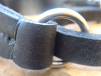 English leather whippet / greyhound martingale collars