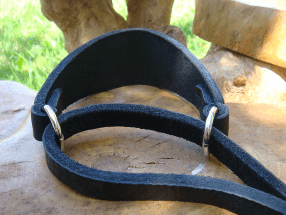 English leather whippet / greyhound martingale collars