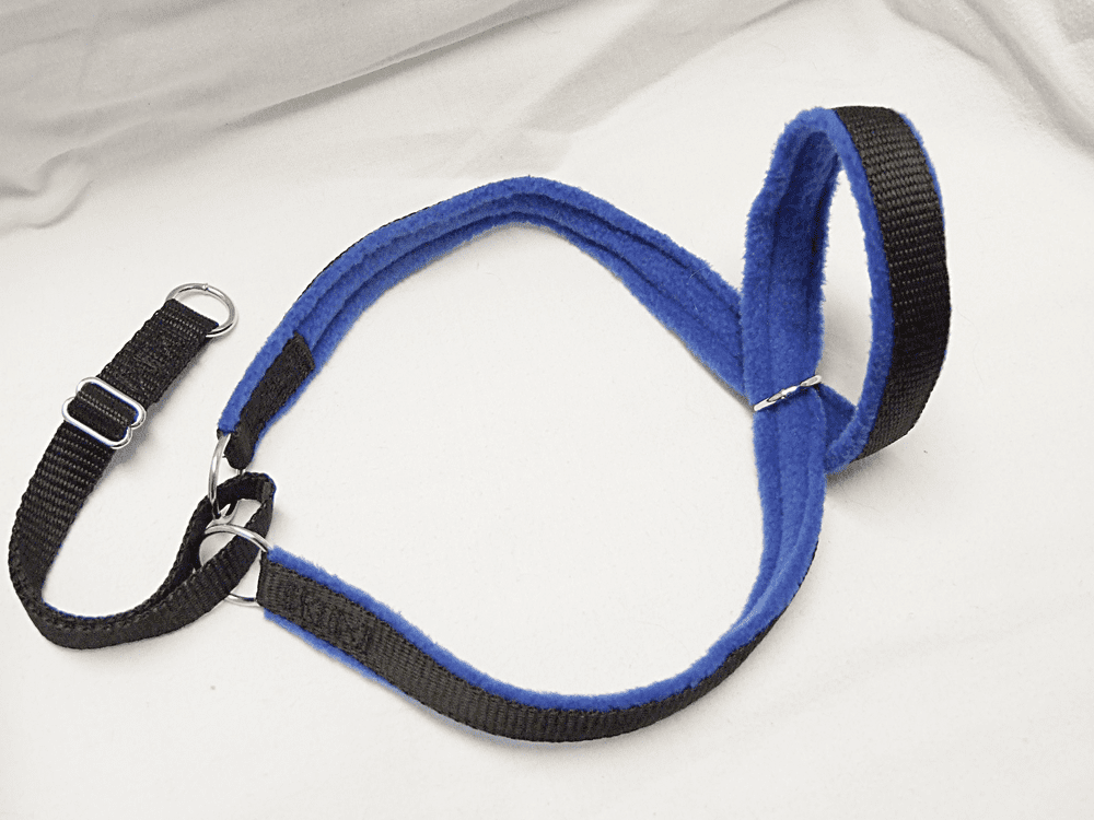 Figure eight dog harness on sale