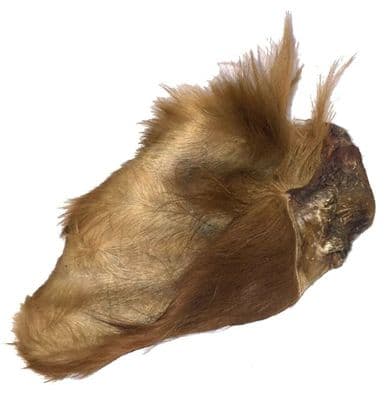 HAIRY  COW EARS  pack of  10