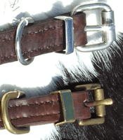Hand-Made English Brushed Leather Secret platt Dog Collar