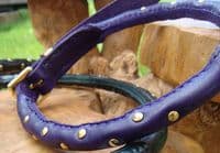 Hand-Made Leather Akita Dog Collar with Studs