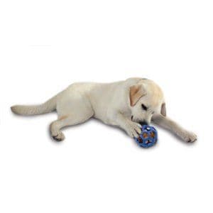 JW Hol-ee Roller Ball