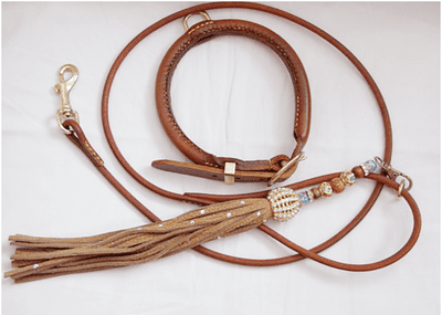 Leather Akita Dog Show Set (Plain)