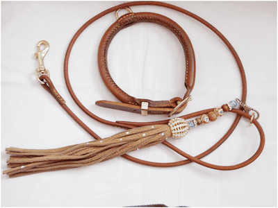 Leather Akita Dog Show Set (with Studs in collar)