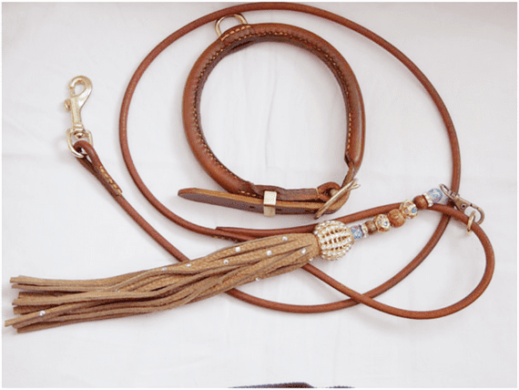 Leather Akita Dog Show Set (with Studs in collar)