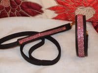 Leather Half-Check Dog Collar with Surface Mounted Crystals