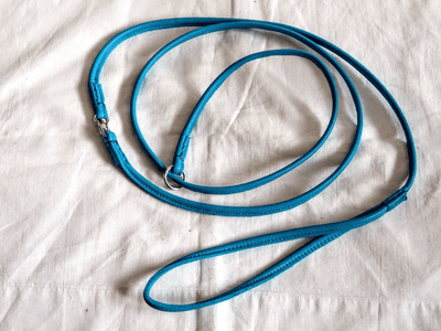 Leather Paracord Slip Lead With Swivl
