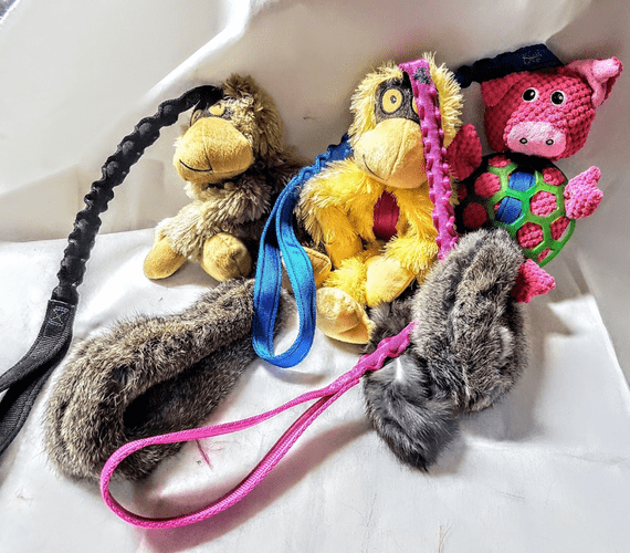 Long Bungee Teddie  Chase with Sheepskin /Rabbit  Ring