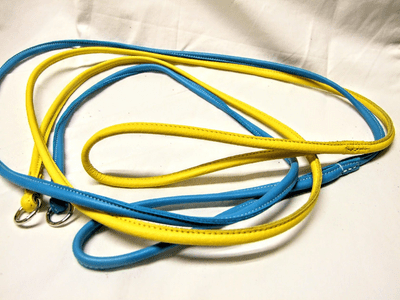 Rolled Leather Paracord Show Slip Lead