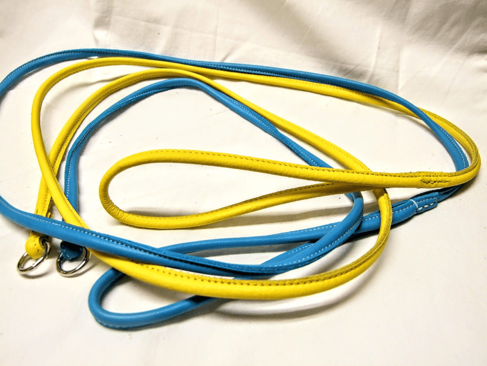 Rolled Leather Paracord Show Slip Lead