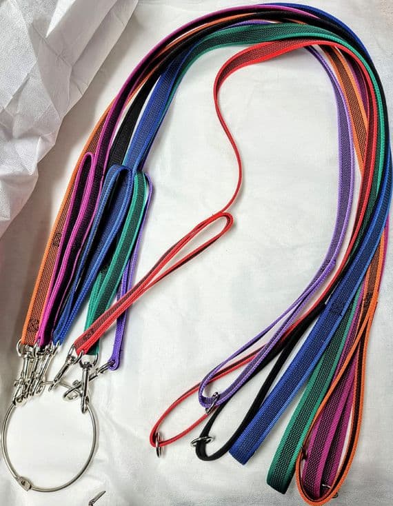 rubber grip nylon webbing control  lead