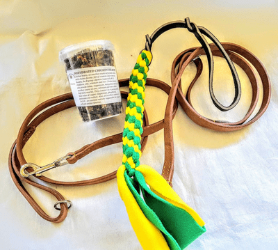 SPECIAL LEATHER LEAD/TREAT BOX BOX