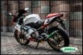 APRILIA RS125 SP  1995-2012 JOLLYMOTO EXHAUST