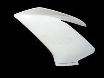 Aprilia, RSV4/R Factory, 09-14 / Side part Left