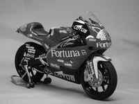 Aprilia RSW 250 GP 2006-